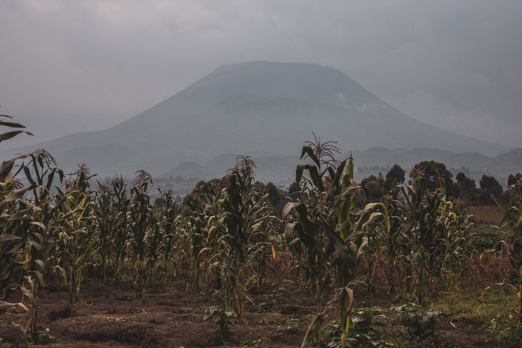 Farmlands in eastern Democratic Republic of the Congo, where many communities have been displaced due to conflict and disasters. (file photo)